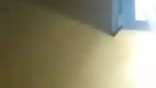 الثلاثي الألماني الديك صغير