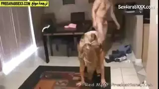 إباحية أجنبية مترجمة عربي: مشاهد جاهزة وعنيفة