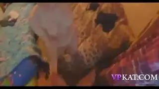 شواذ اخي يعاقبني