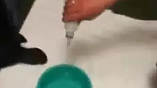 تحفة بورنوغرافية: كل الفتحات مُملأة