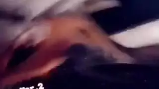 مشهد إباحي: ملكة عربية تسيطر على عبدها الراغب