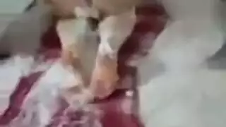 فحل ديك ينيك امه مع طيزها